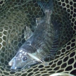 ナイトルアーゲーム　長崎大村市周辺