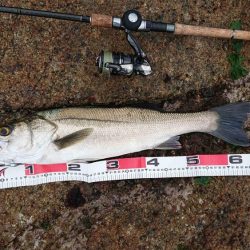 雨の中休み釣行！