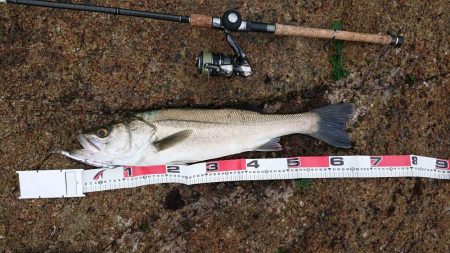 雨の中休み釣行！