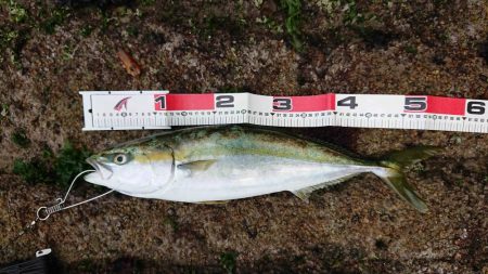 氷河期のハズが・・・?