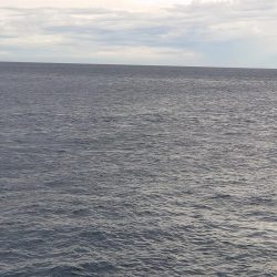 サイズダウン。。