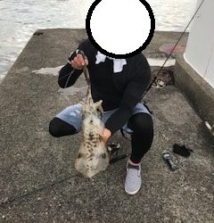 和歌山中紀夏イカエギングでアオリイカ