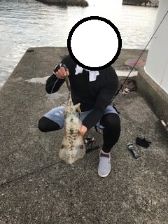 和歌山中紀夏イカエギングでアオリイカ