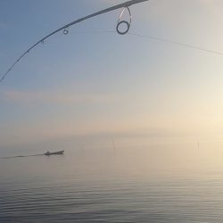 朝マズメ、トップシーバス！！出勤前に２発出た！！