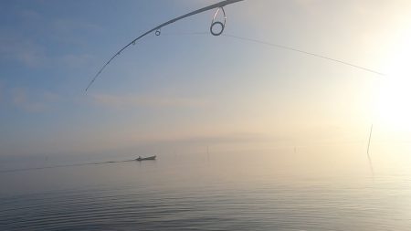 朝マズメ、トップシーバス！！出勤前に２発出た！！