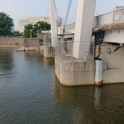 起死回生のシーバス 〜西宮浜