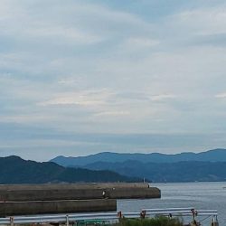 ラッキーは二度刺す