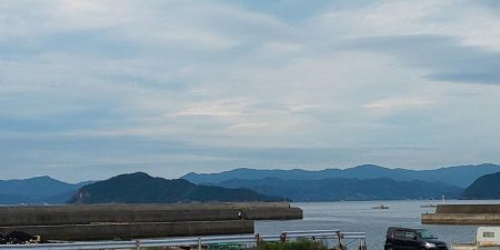 ラッキーは二度刺す