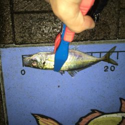 スプリットリグアジング