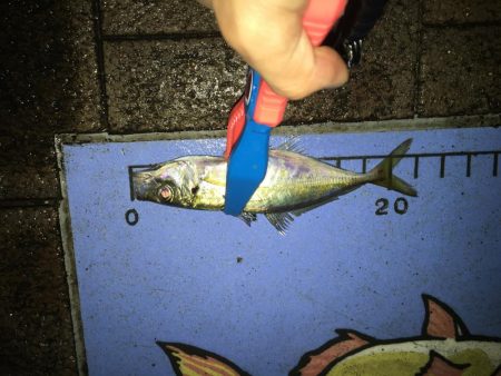 スプリットリグアジング