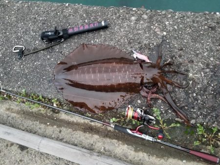 まさかの二キロアップ♪♪