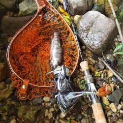 水位高く渓流にまわりました。