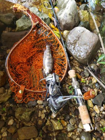 水位高く渓流にまわりました。