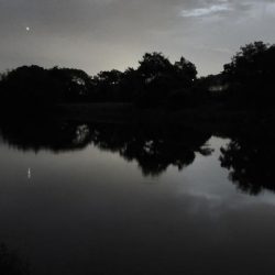 こんな状況なので近場で…