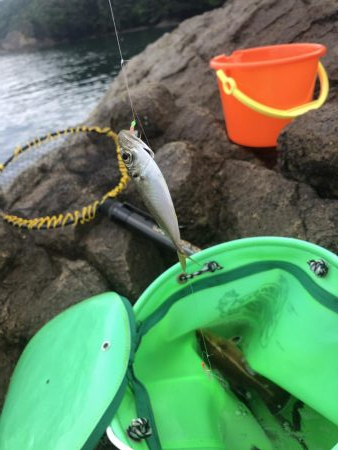 現地調達の蟹でも釣れた