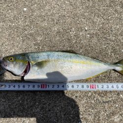 帰り側にやったアタリが!