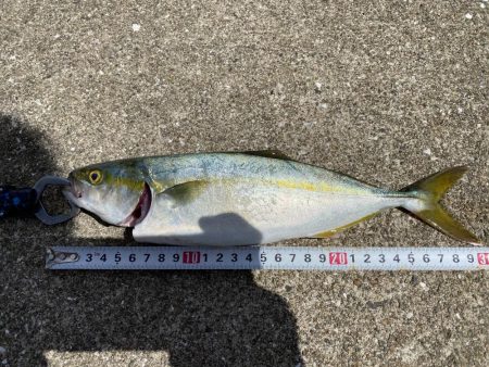 帰り側にやったアタリが!