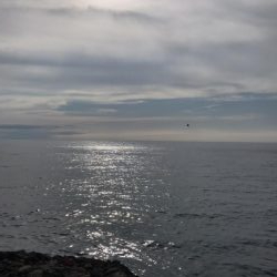 真夏・真昼間のトップゲーム