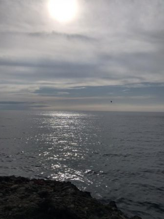 真夏・真昼間のトップゲーム