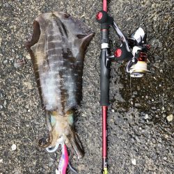 ひっさしぶりー!