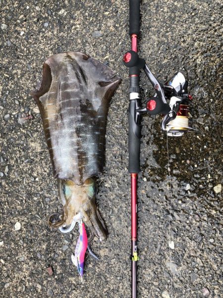 ひっさしぶりー!