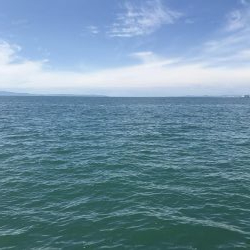 やっぱりか、、、