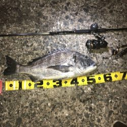 初の「年無し」