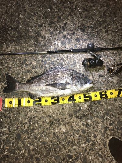 初の「年無し」