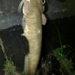 全開放流で湖流はや!