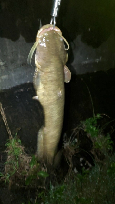 全開放流で湖流はや!