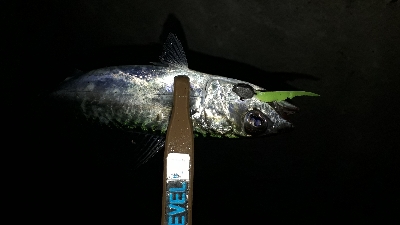 雨にも負けず(笑)