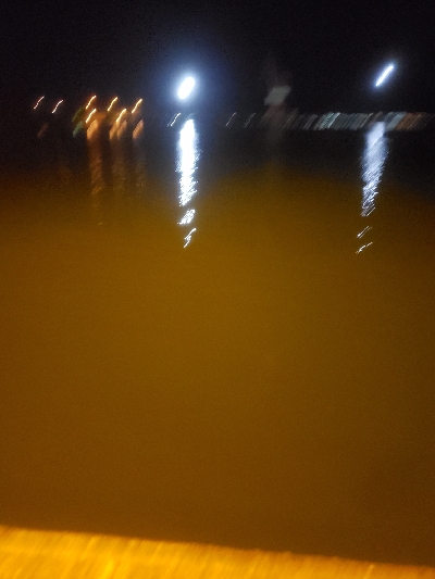 エソの嵐でした