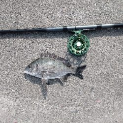 なんちゃってスライダー釣法で釣れました！