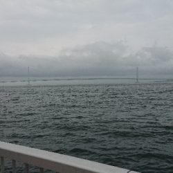 ルアー、ノマセの青物不発