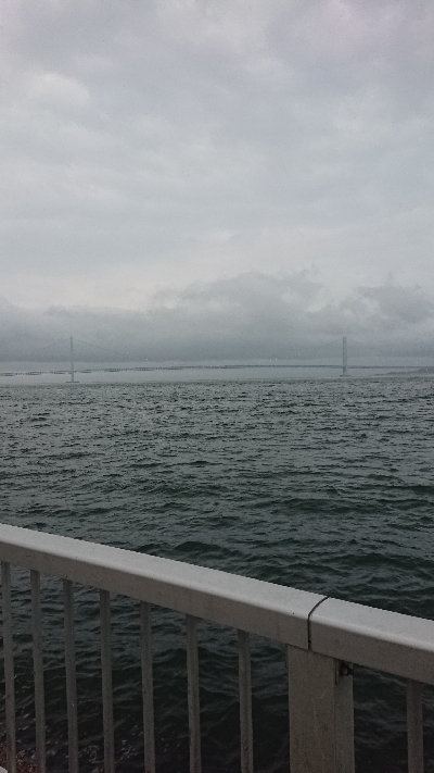 ルアー、ノマセの青物不発