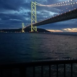 今月最後のサバ調査