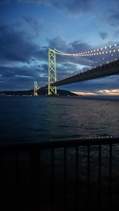 今月最後のサバ調査