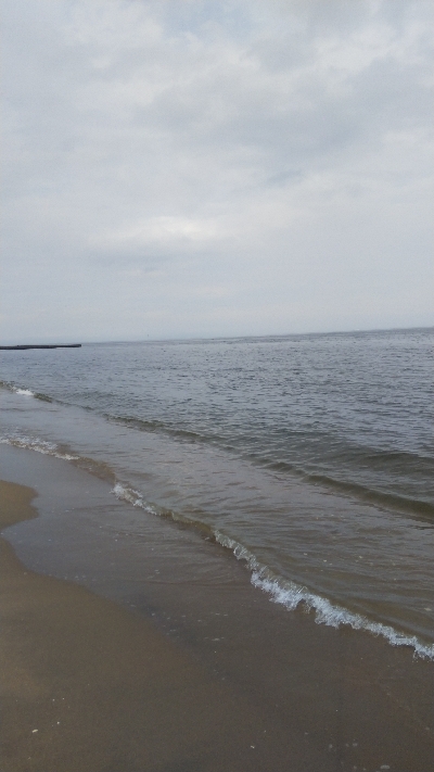 マゴチ60cmUPならず。