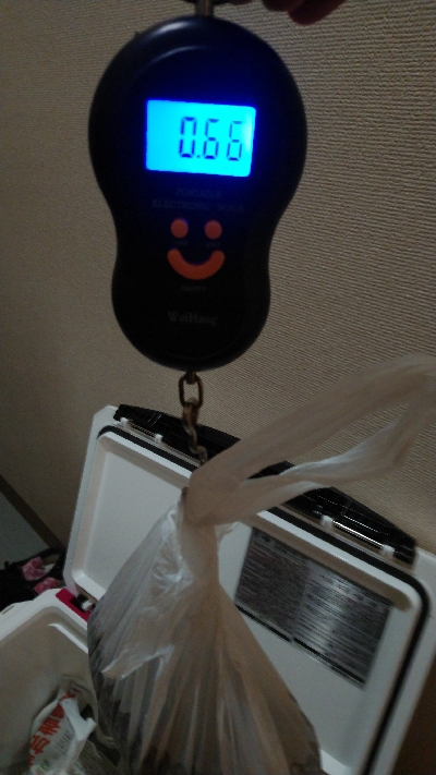 夕涼みフィッシング