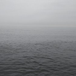 最後にハプニング