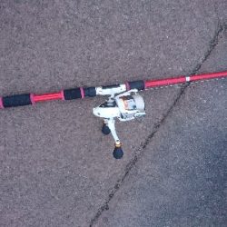 土用丑の日を前に鰻を釣った！！