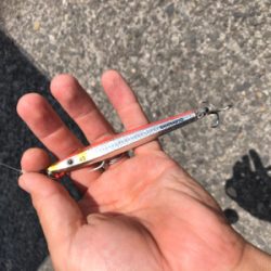 寄り道ライトショア