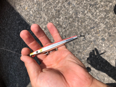 寄り道ライトショア