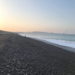 ツバスくん登場