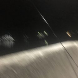 泳がせで雨の後のシーバス！