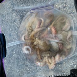 仕事帰り短時間勝負！