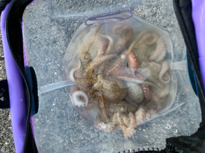 仕事帰り短時間勝負！