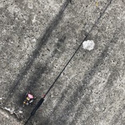 雨が降るまで…