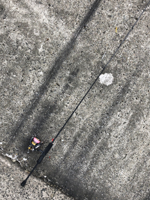 雨が降るまで…