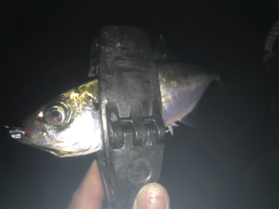 2020ライトゲーム第20戦